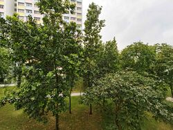 Blk 811B Keat Hong Colours (Choa Chu Kang), HDB 3 Rooms #636971351